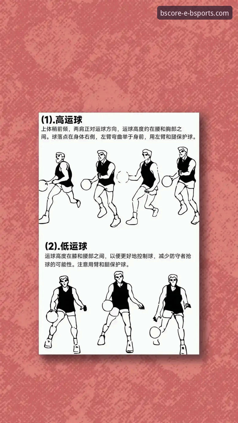 B体育官方平台新手畅享体育完全操作教程